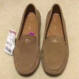 Coach Driving Mocassins